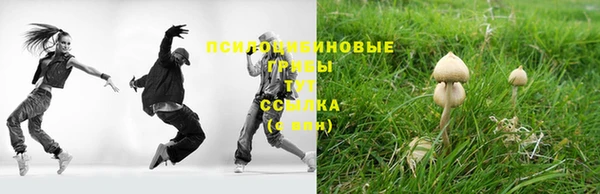 гидра Абаза