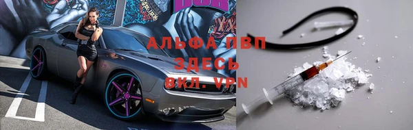 гидра Абаза
